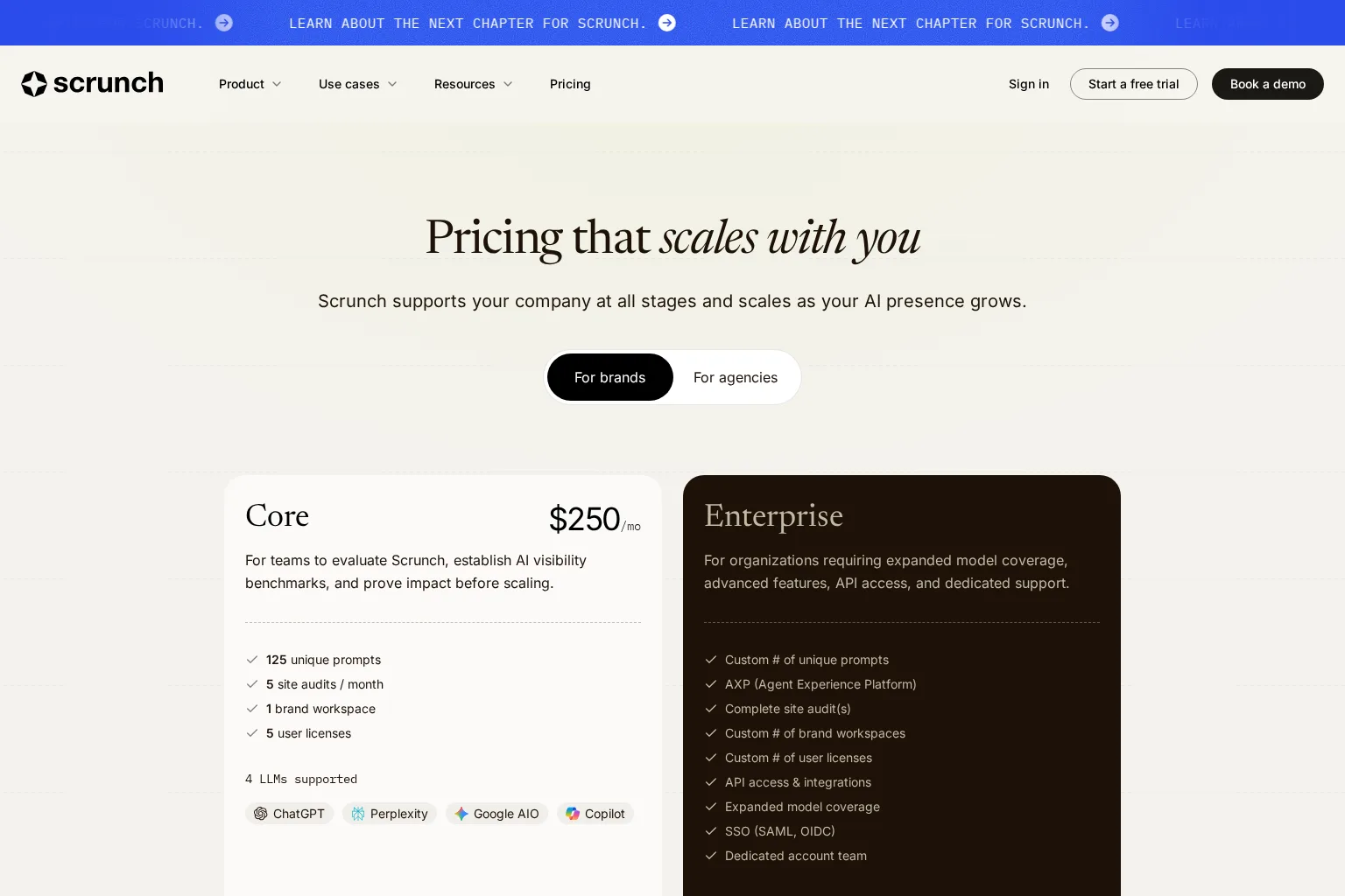 Screenshot of scrunch.com